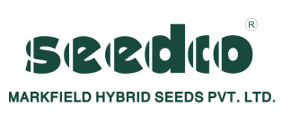 Ekatta's Client Seedco Seeds